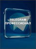 Telegram профессионал