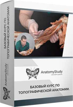 Топографическая анатомия