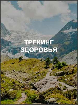 Трекинг здоровья