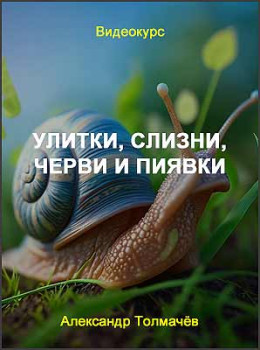 Улитки, слизни, черви и пиявки