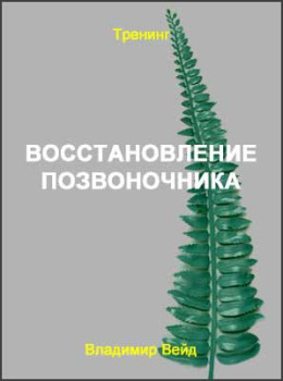 Восстановление позвоночника