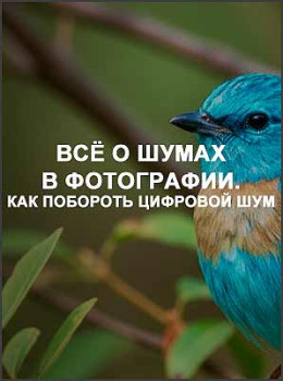 Всё о шумах в фотографии. Как побороть цифровой шум