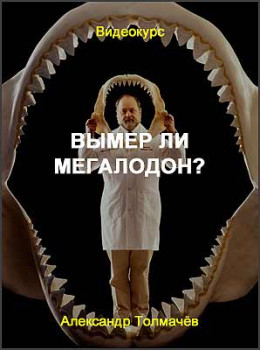 Вымер ли мегалодон?