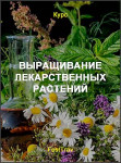 Выращивание лекарственных растений