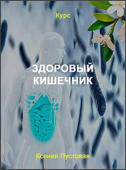 Здоровый кишечник